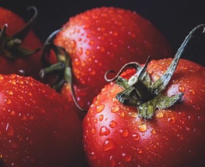 Kit de fertilisants 5B (Tomates, piments, légumes et fruits) 10L – Image 9